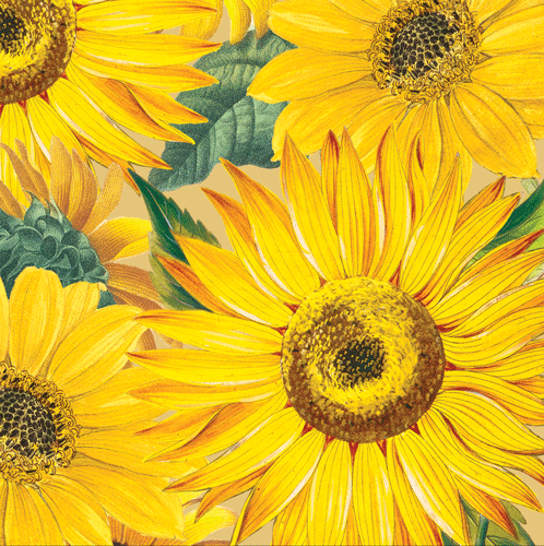 Bright yellow sunflowers with dark brown centers and green stems on yellow background, Caspari cocktail napkins pattern