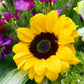 Close-up of a yellow sunflower with purple and green flowers in the background