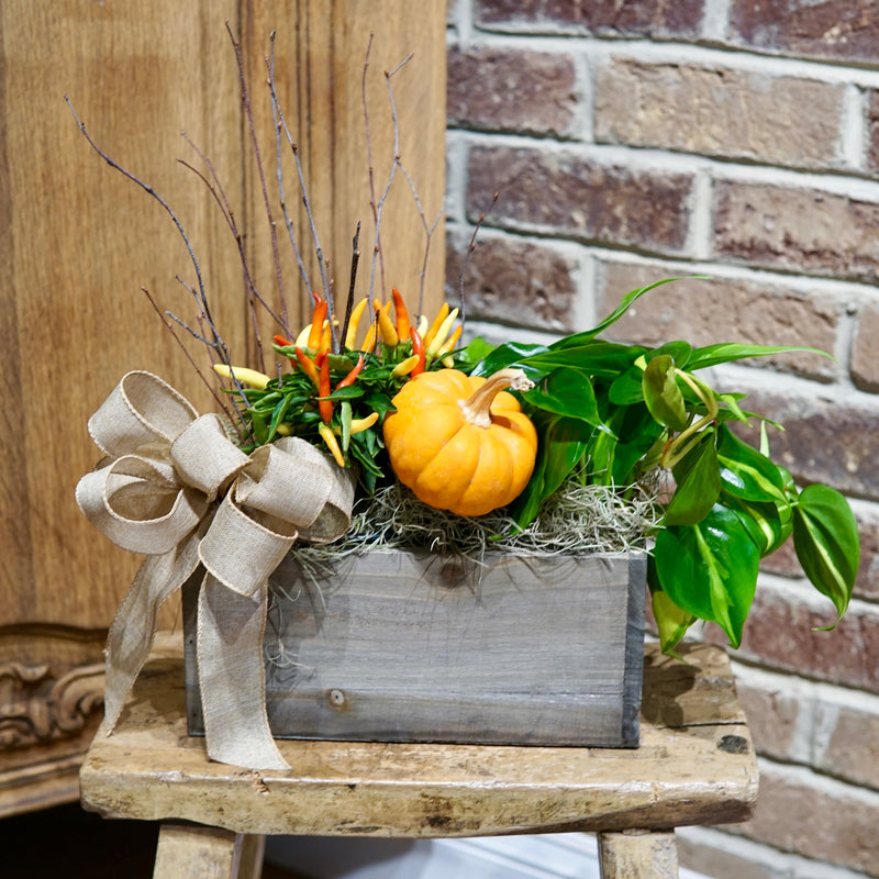 Decorative arrangement with a small pumpkin, greenery, and a bow in a wooden box on a stool against a brick wall.