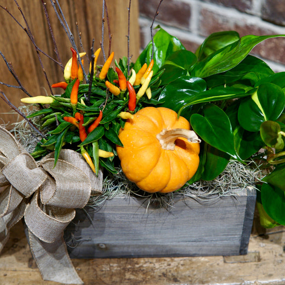 Decorative arrangement with a small pumpkin, green leaves, and decorative elements on a wooden surface.