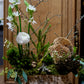 Floral arrangement with white flowers and greenery in a wooden box against a wooden door.