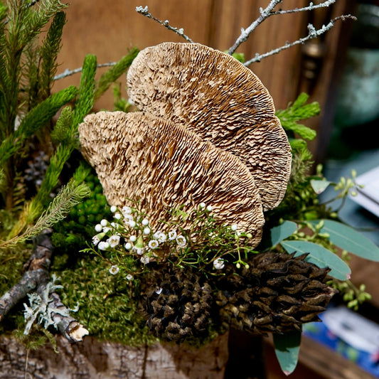 Close-up of mushrooms and natural elements on a wooden surface