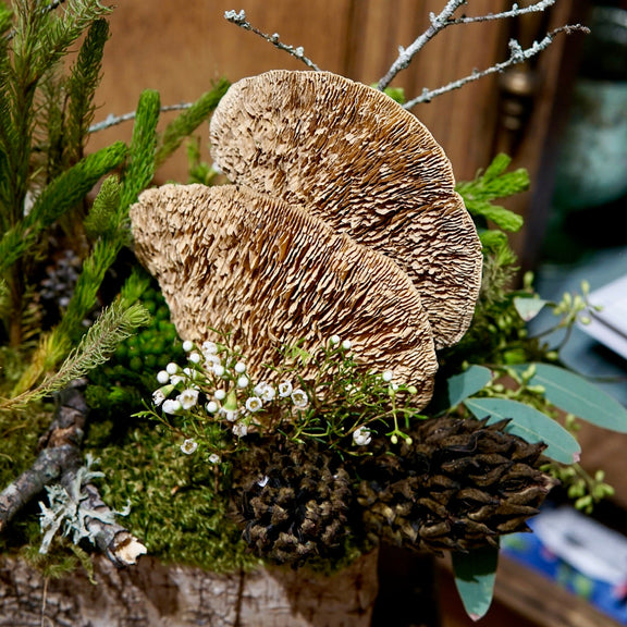 Close-up of mushrooms and natural elements on a wooden surface