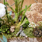 Decorative arrangement with greenery, mushrooms, and white flowers on a wooden surface.