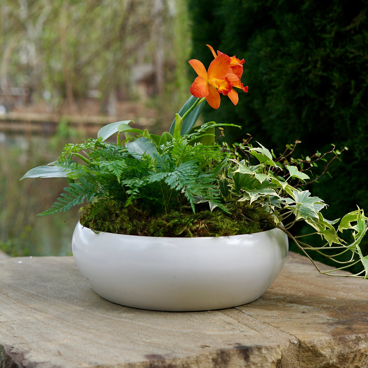 Potted plant with an orange flower on a stone ledge outdoors