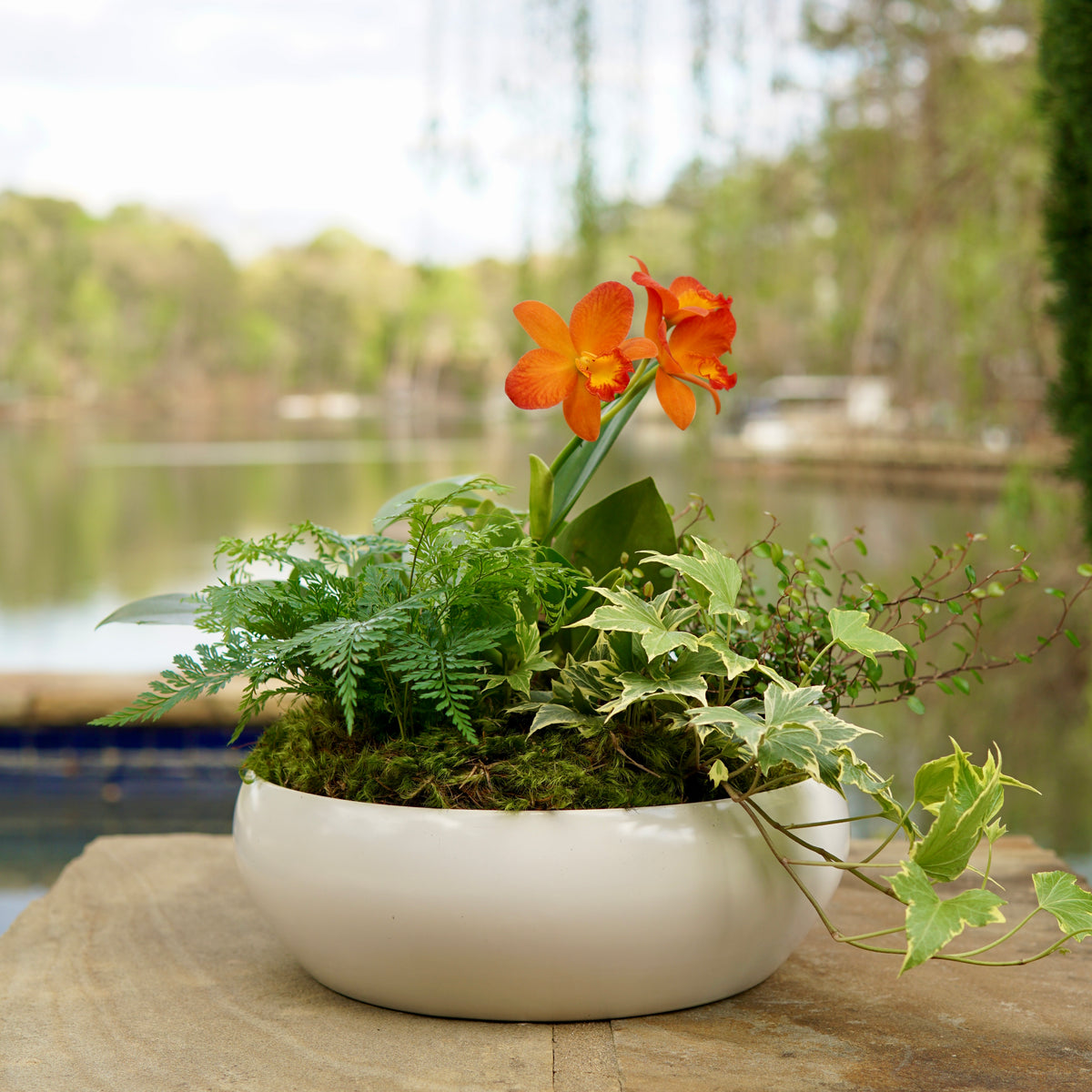Potted plant with an orange flower on a stone surface by a body of water.
