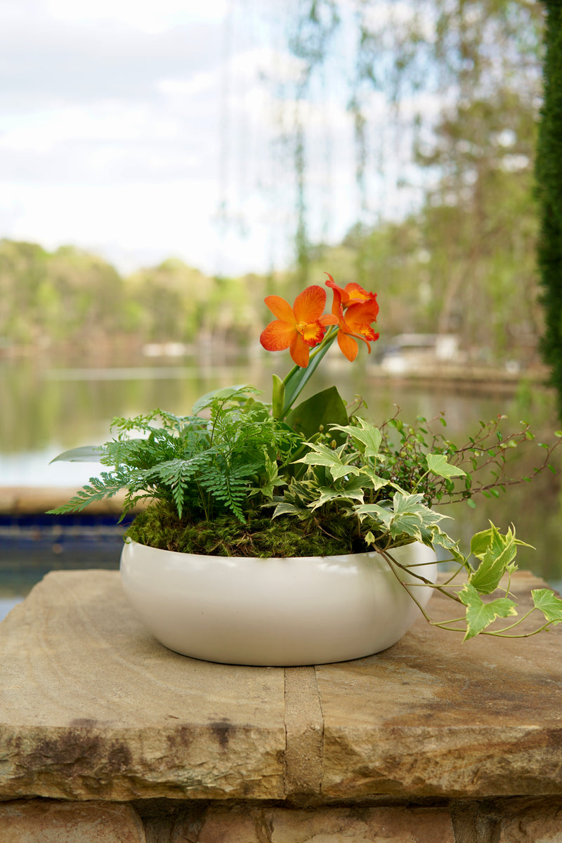 Potted plant with an orange flower on a stone surface by a body of water.