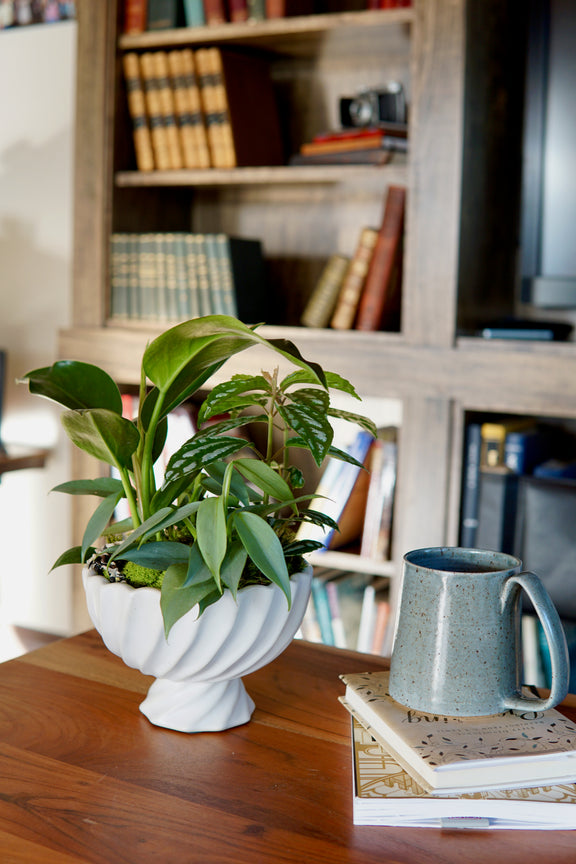 Potted plant on a wooden table with books and a TV in the background