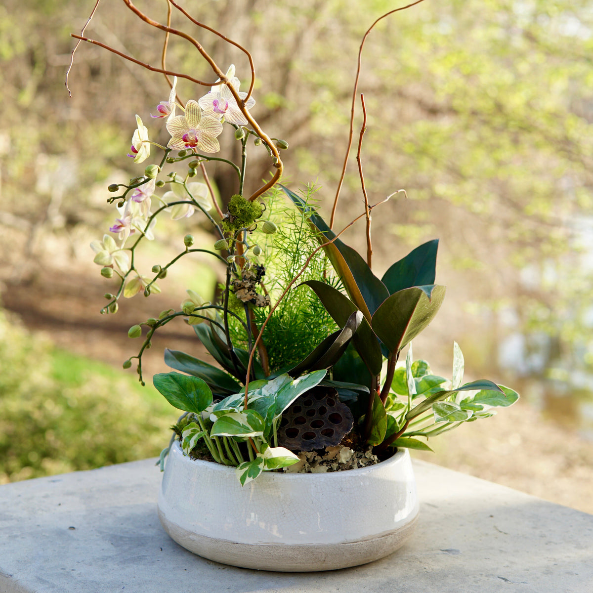 Decorative plant arrangement in a white pot on a stone surface with a blurred natural background