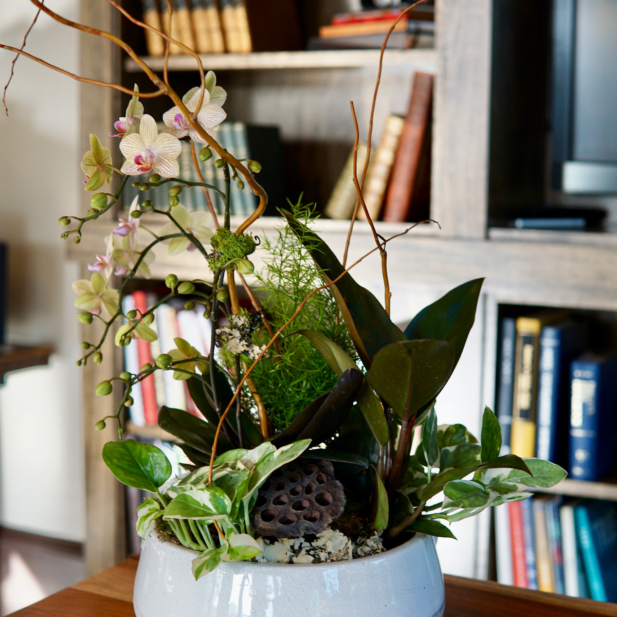 Decorative plant arrangement in a white pot on a wooden surface with a bookshelf in the background.