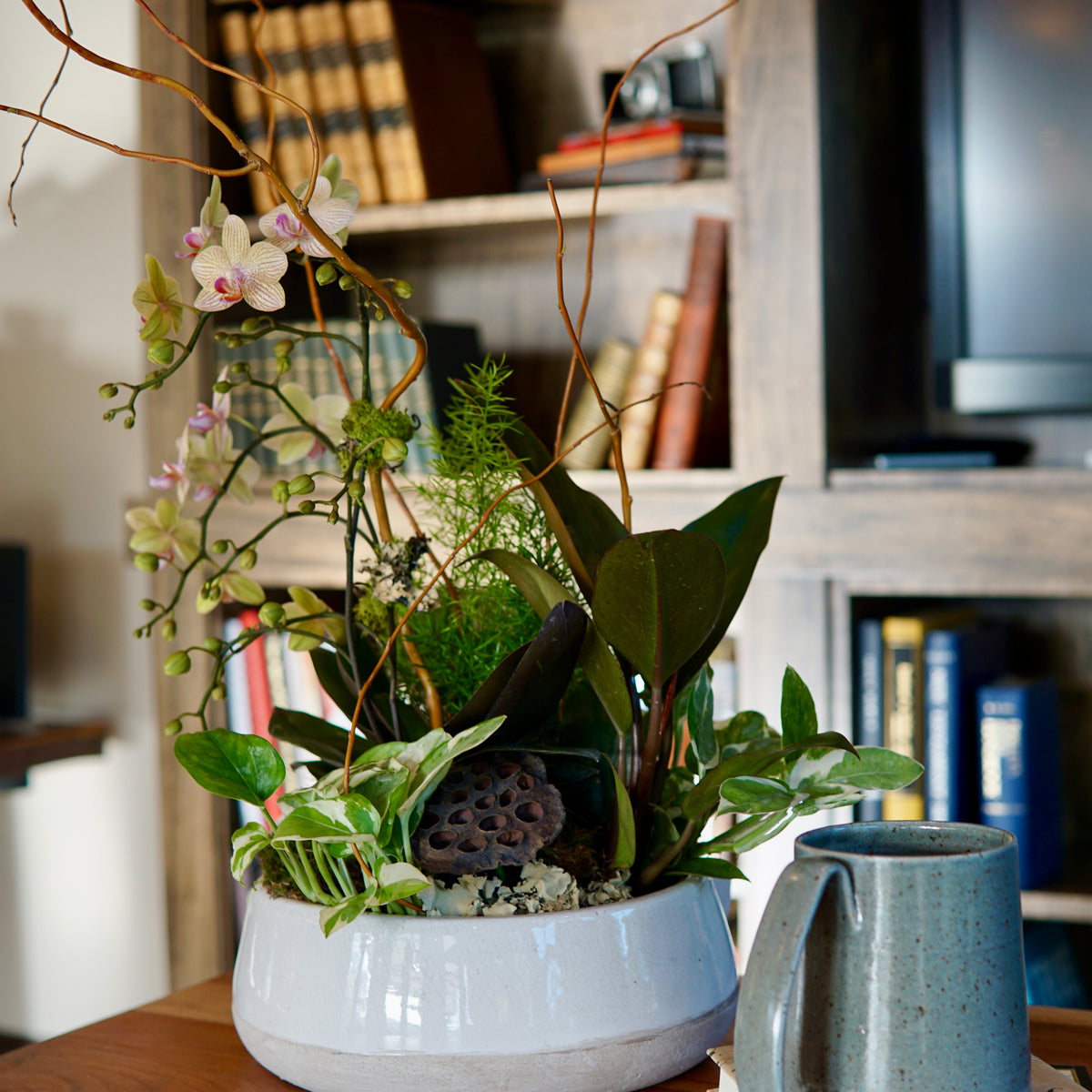Potted plant on a table with books and a television in the background