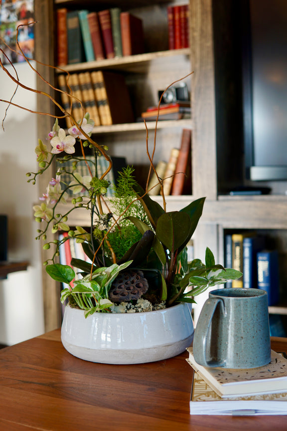 Potted plant on a table with books and a television in the background