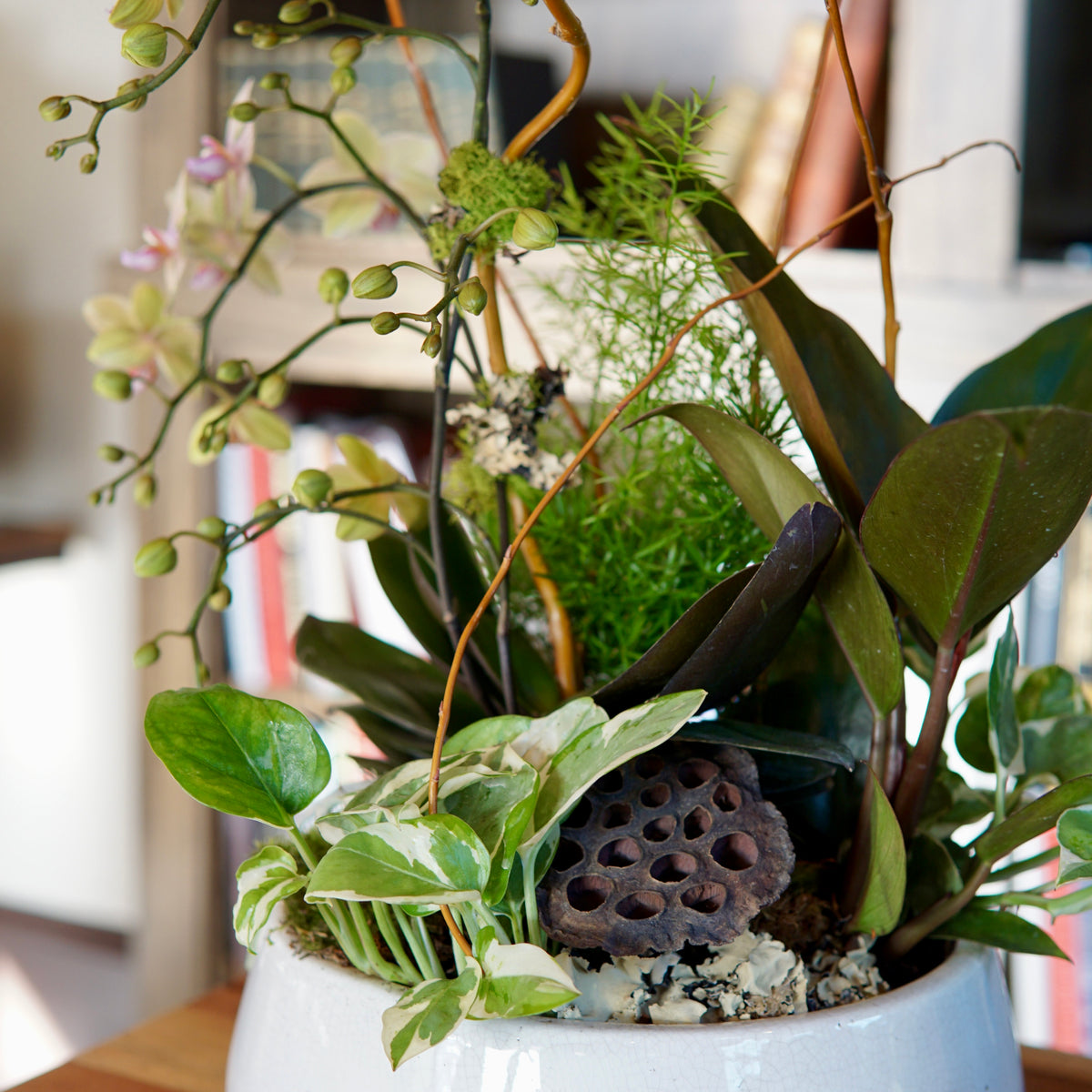 Decorative indoor plant arrangement in a white pot on a wooden surface.