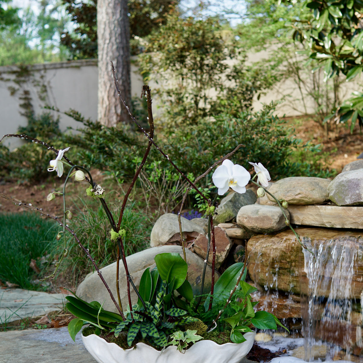 Potted plant with white flowers in front of a small waterfall in a garden setting