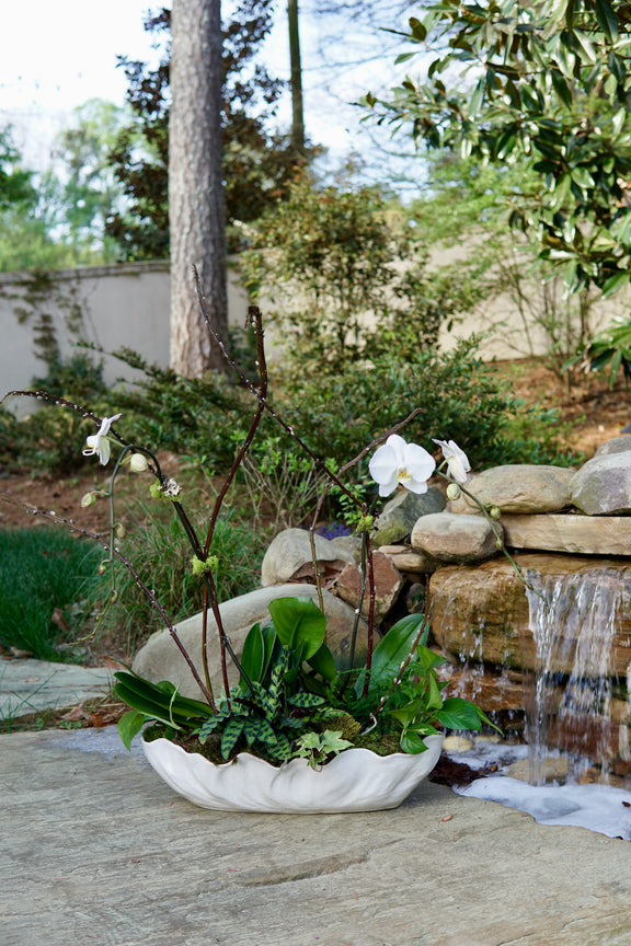 Potted plant with white flowers in front of a small waterfall in a garden setting