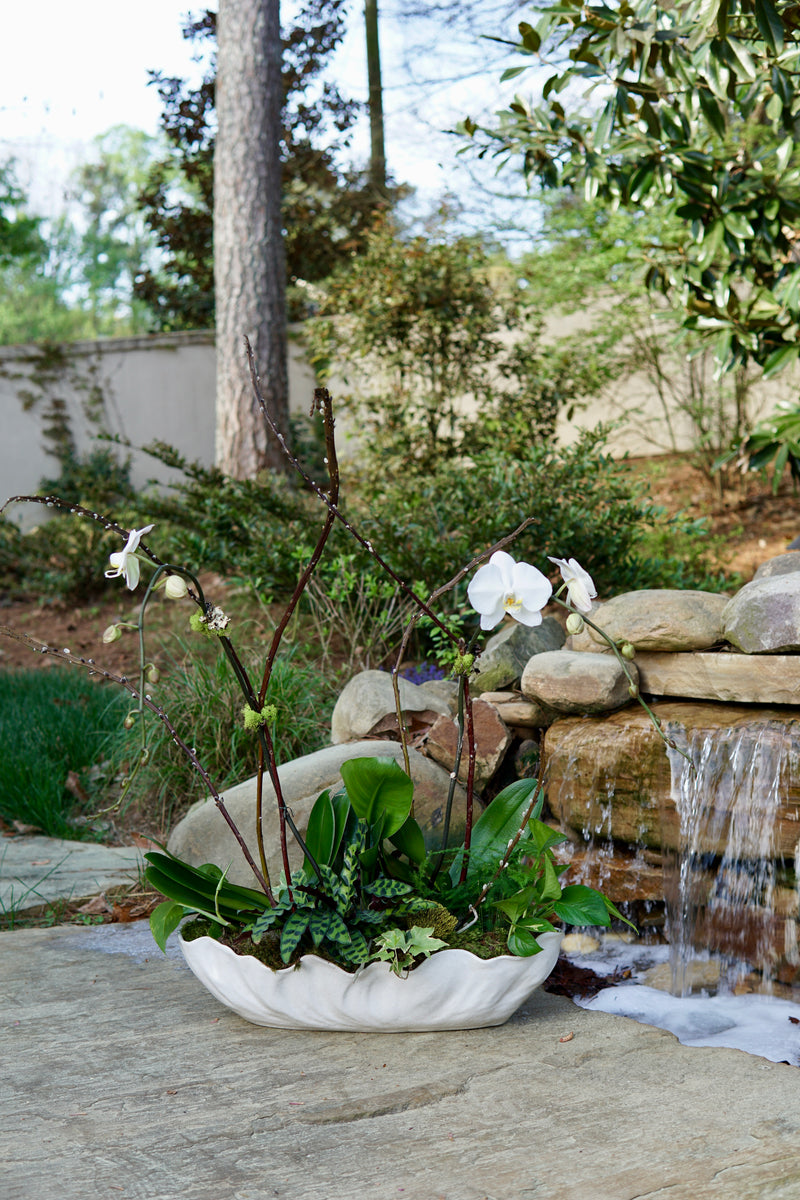 Potted plant with white flowers in front of a small waterfall in a garden setting