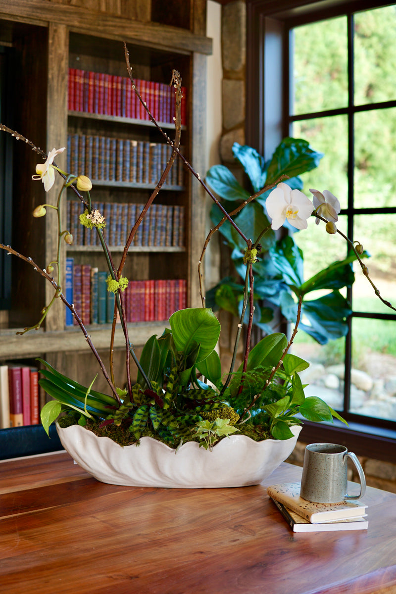 Decorative plant arrangement in a white bowl on a wooden table with books and a mug in the background.