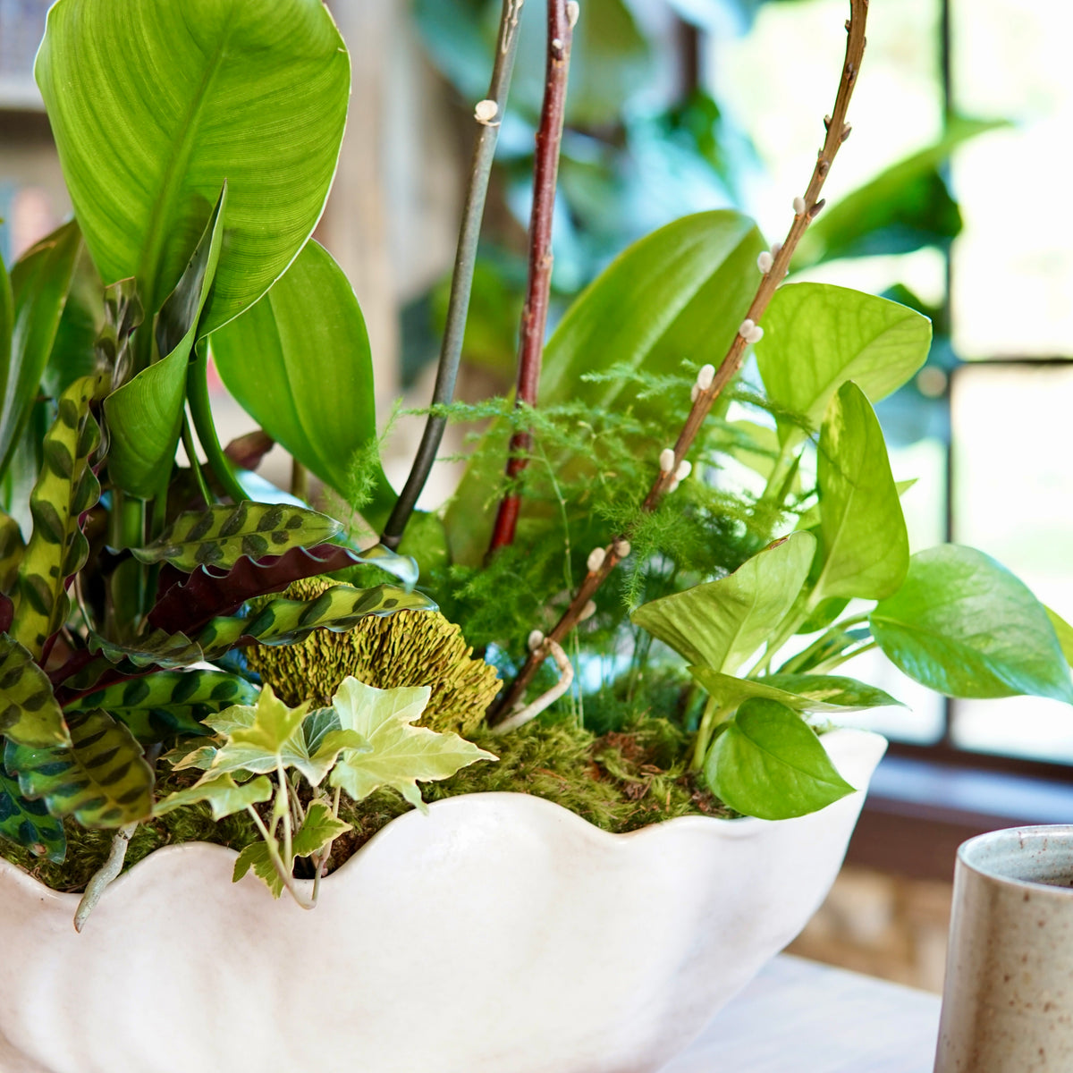 Decorative arrangement of green plants in a white bowl on a wooden surface with a blurred background.
