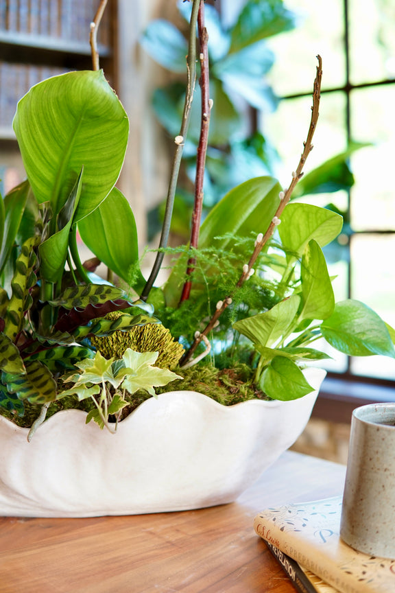 Decorative arrangement of green plants in a white bowl on a wooden surface with a blurred background.