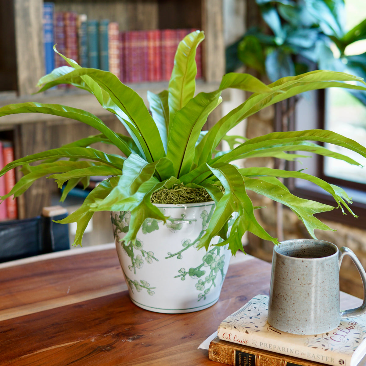 Potted plant on a wooden table with books and a mug in the background
