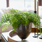 Fern plant in a decorative pot on a wooden table with a blurred background