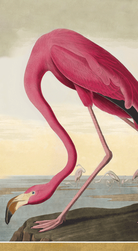 Pink flamingo illustration on cream Caspari guest towel, Audubon-style watercolor art