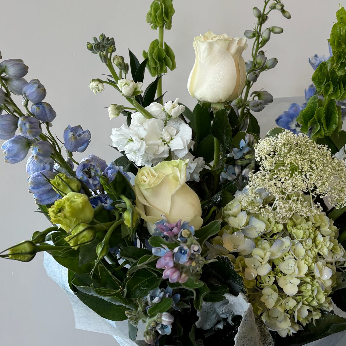 White hand-tied bouquet with cream roses, blue delphiniums, white hydrangeas, stock, and lace fern on gray background.