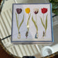 Matches | Tulip Parade