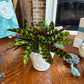 [BV-PM] Rattlesnake Calathea in Tapered Pot | Plant of the Month (August)