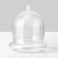 Clear glass cloche terrarium with rounded dome, side vents, and glass base dish