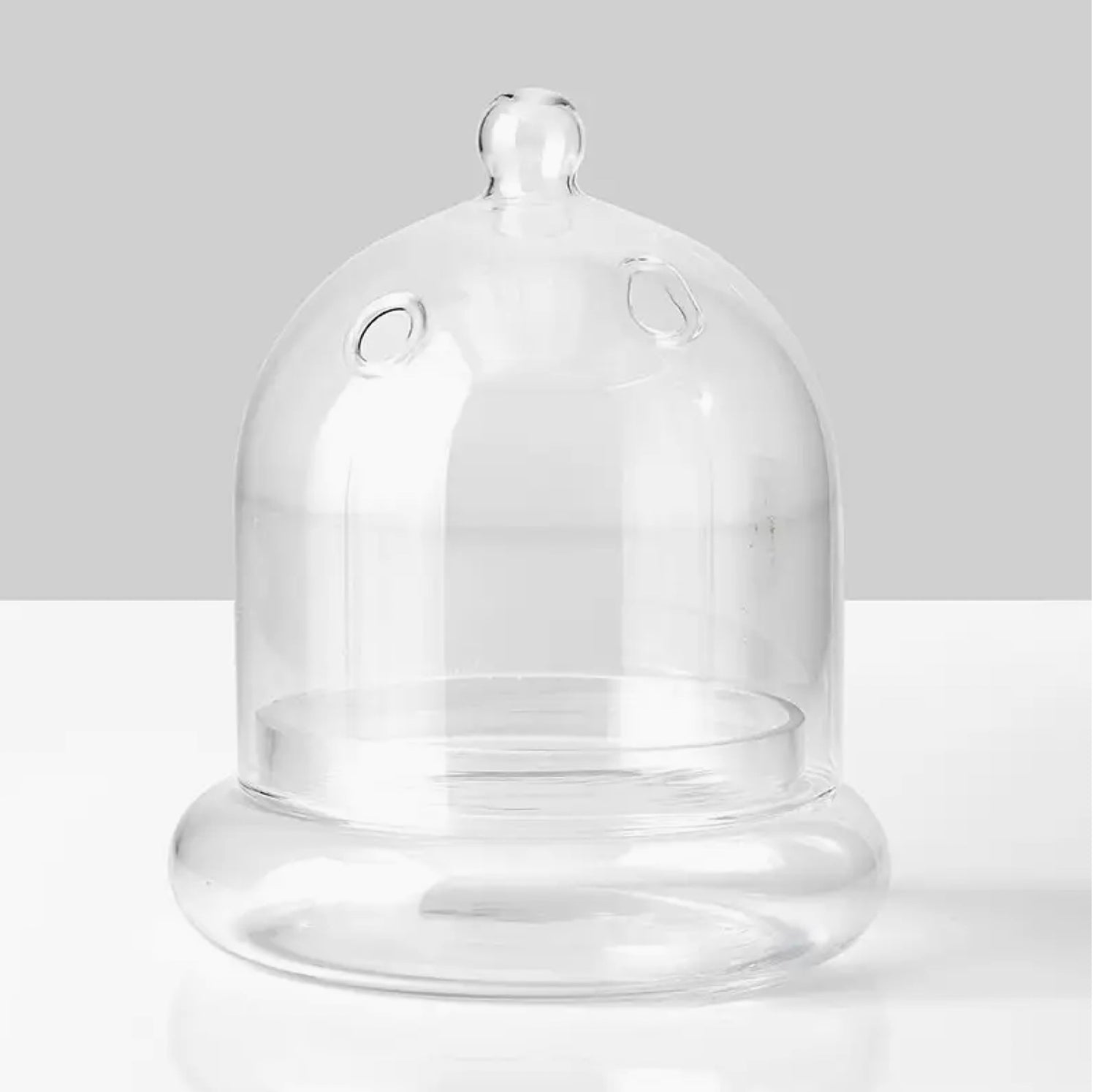 Clear glass cloche terrarium with rounded dome, side vents, and glass base dish