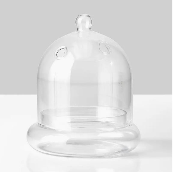 Clear glass cloche terrarium with rounded dome, side vents, and glass base dish