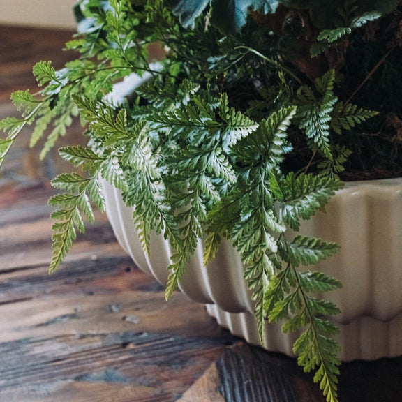 Discover the joy of giving or receiving with our Plant of the Month subscription. Each month, receive a unique plant design that is both beautiful and easy to care for. Perfect for nature lovers and beginners alike, this subscription brings joy and greenery into any space.