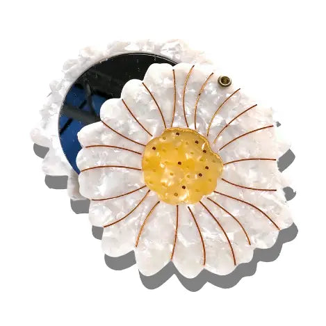 Claw Hair Clip