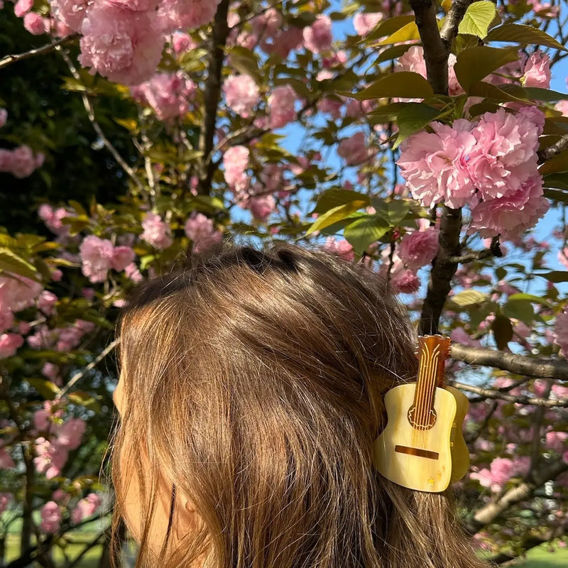 Claw Hair Clip