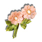 Claw Hair Clip