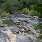 Seeing and Observing Nature Workshop (October 18 @11AM) - FREE