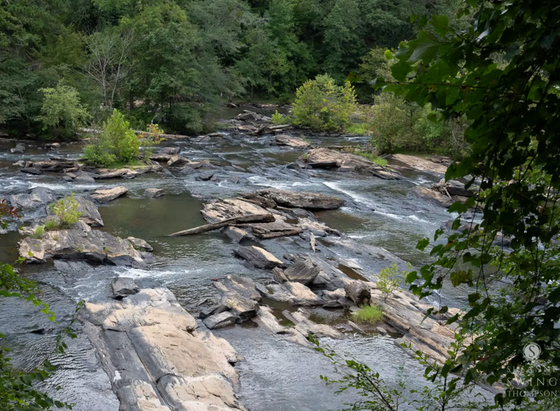 Seeing and Observing Nature Workshop (October 18 @11AM) - FREE