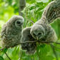 Seeing and Observing Nature Workshop (October 18 @11AM) - FREE