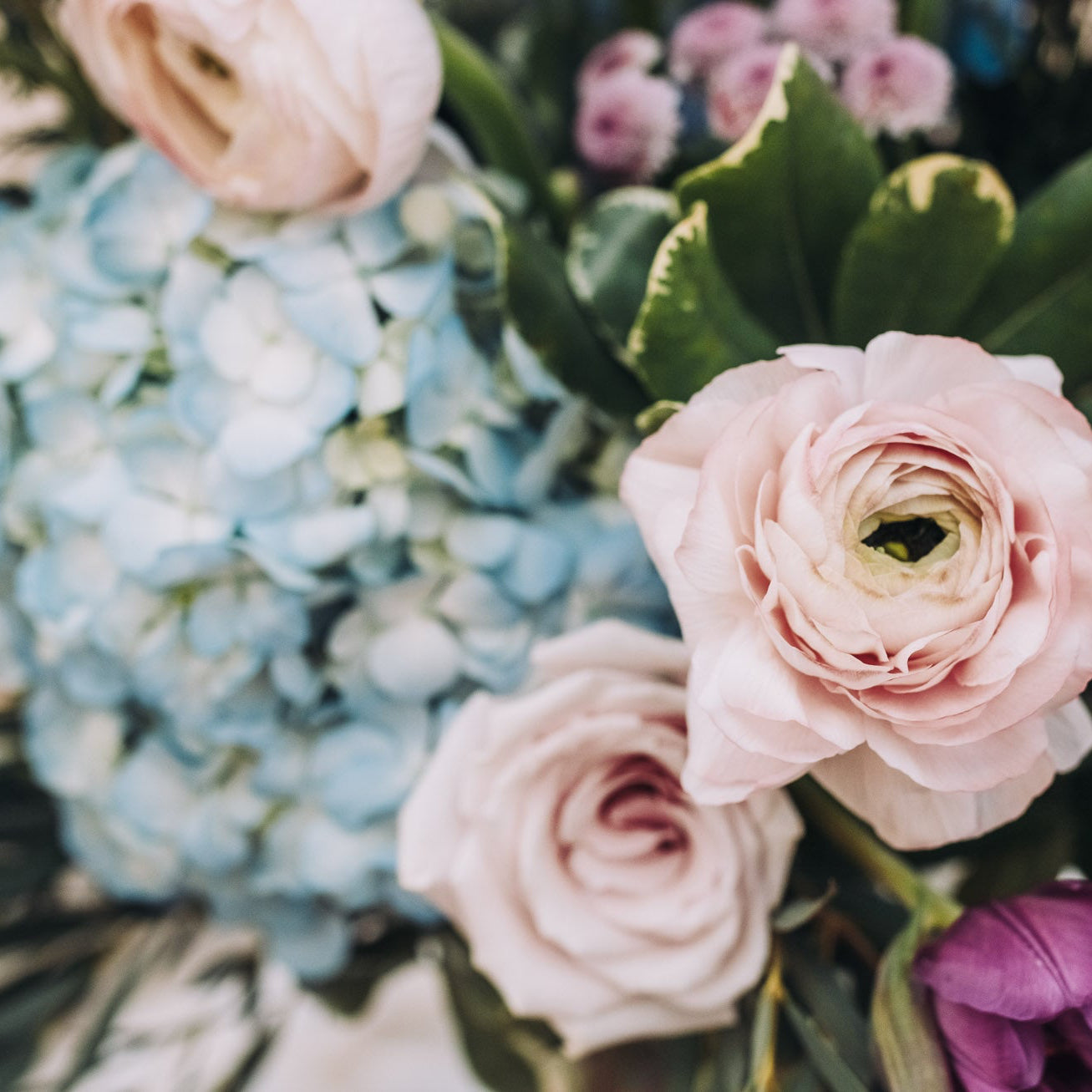 #Johns Creek Florist #Peachtree Corners Florist #Alpharetta Florist #Duluth Florist #Custom Floral Arrangements #Floral Arrangements #Flower Arrangements #Deliver Flowers #Same Day Flower Delivery #Local Florist #Anniversary Flowers #Buy Flowers #Florist Near Me #Send Flowers #Gift Flowers #Beautiful Flowers #Shop Flowers