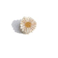 Claw Hair Clip
