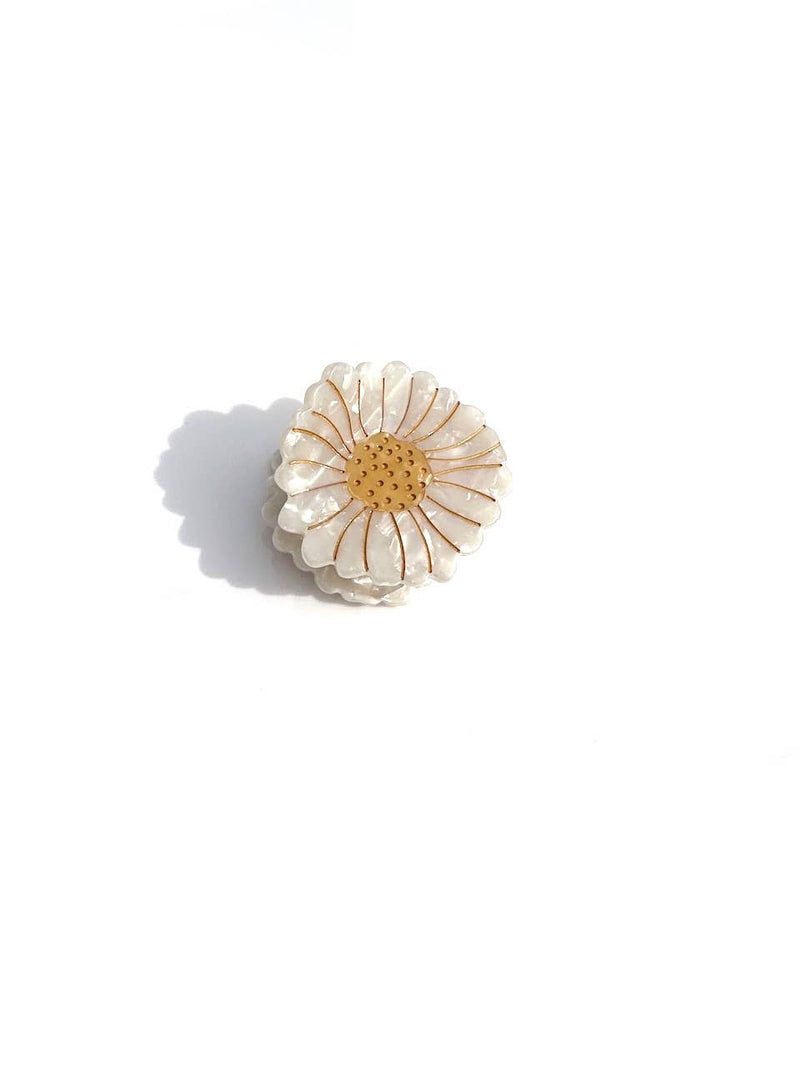Claw Hair Clip