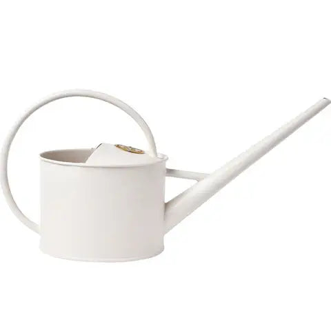 Buttermilk watering can with overhead handle and long spout for indoor plant care