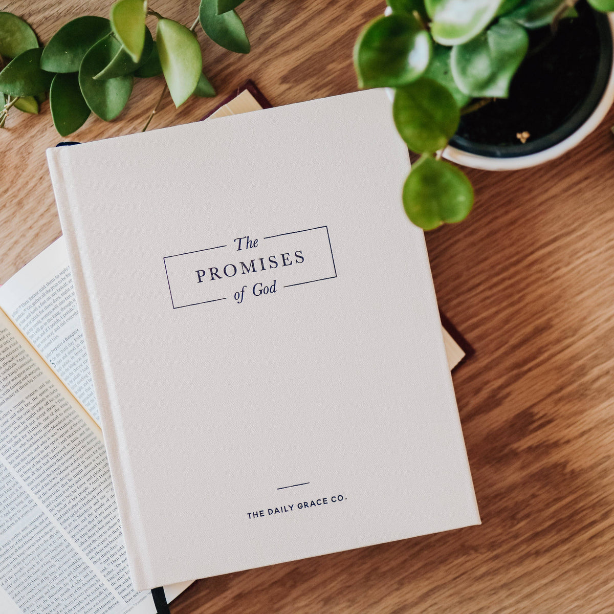 White hardcover book "The Promises of God" displayed on wood with green potted plants and open pages visible beside it