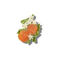 Claw Hair Clip