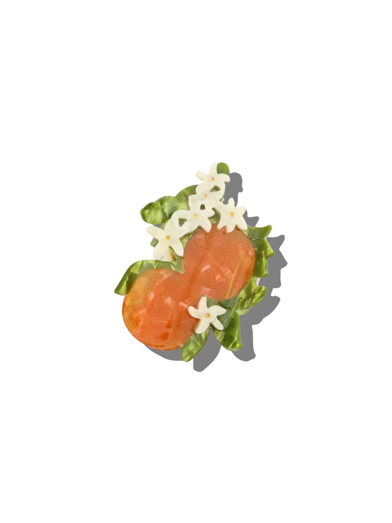 Claw Hair Clip