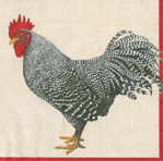 Rooster with red comb and gray speckled plumage illustrated on cream background with red border