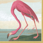 Pink flamingo illustrated in Audubon bird art style on cream cocktail napkin with coastal landscape background
