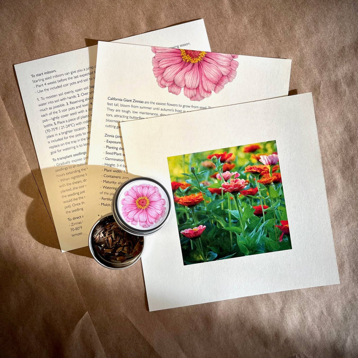 Garden Box kit with printed instruction cards, pink zinnia flower illustration, and colorful flower garden photo with soil and seeds