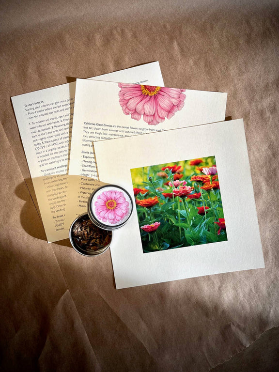 Garden Box kit with printed instruction cards, pink zinnia flower illustration, and colorful flower garden photo with soil and seeds